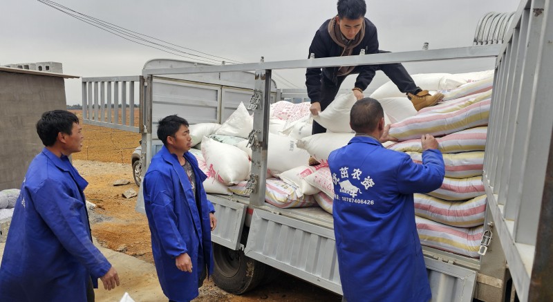 1709870336159636.jpg 01.jpg