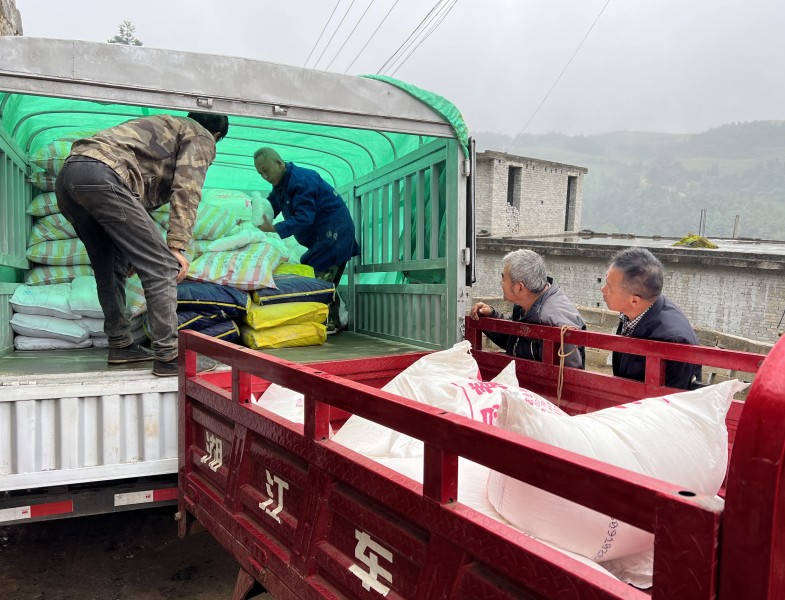 1709870372401906.jpg 04.jpg