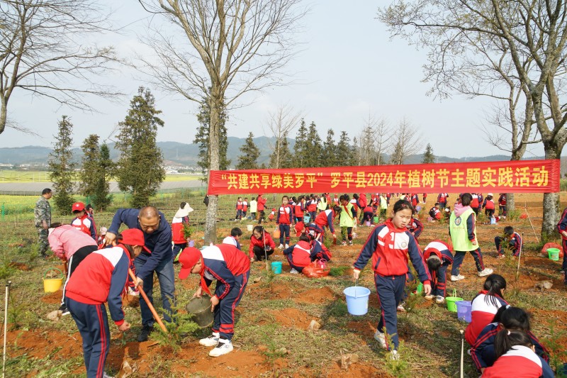 1710290447959372.jpg DSC01862 - 复件(1).JPG