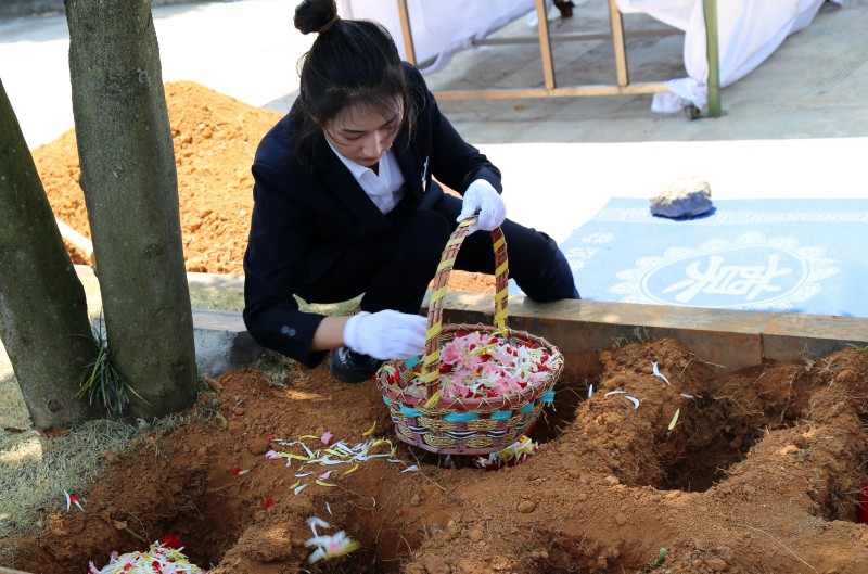 1712134104456795.jpg 3.jpg