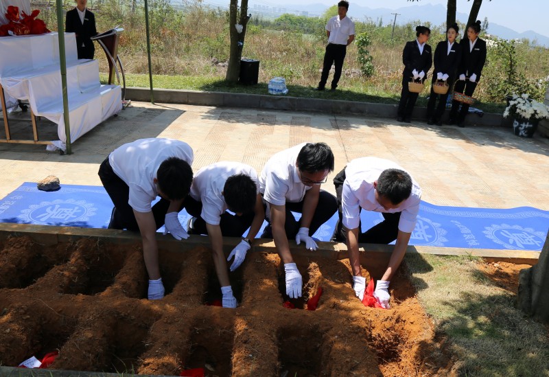 1712134117388003.jpg 4.jpg