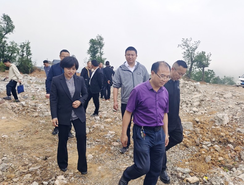 1712736139842233.jpg 3.jpg