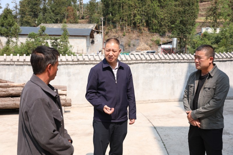 1712738122850113.jpg 24b9862b82eaec9211b244035007d6e.jpg