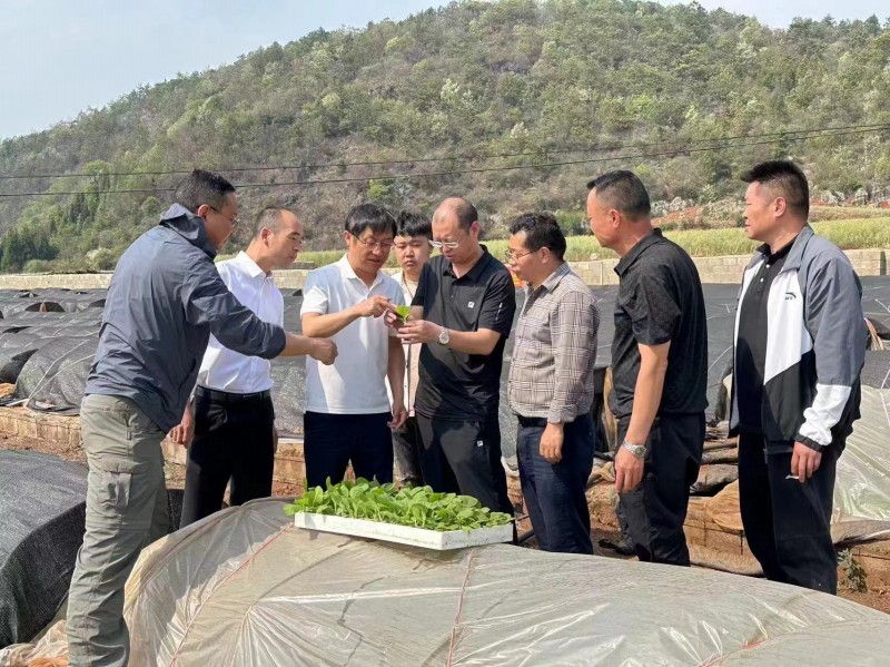 1713227203151404.jpg c864191c4c7249325e7f13a0a7f91b0.jpg