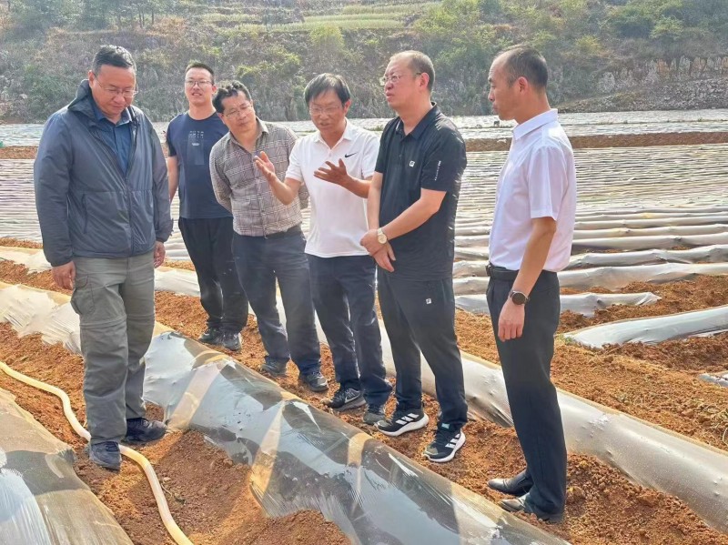 1713227219226452.jpg 2d85d443d9eb4638625691b1374a7d2.jpg