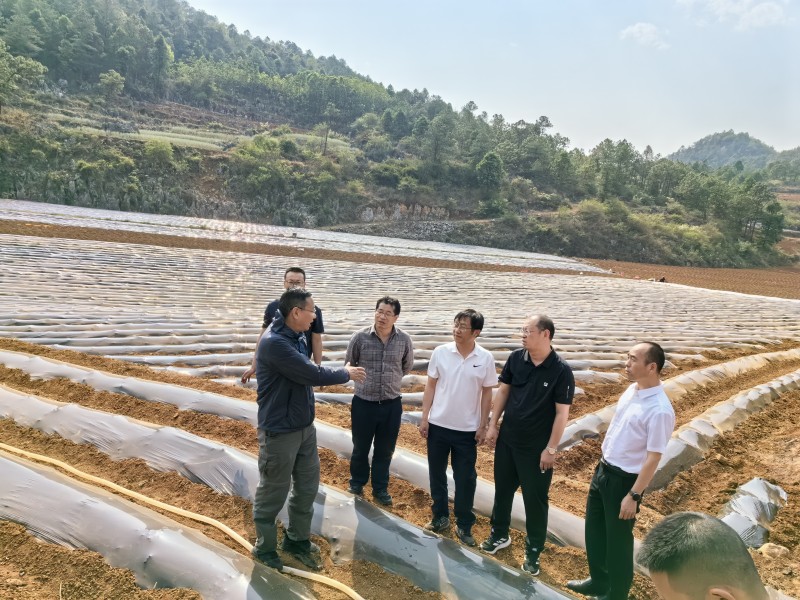 1713227247202813.jpg 471d63c763a80083dca4f5177d14b7f.jpg