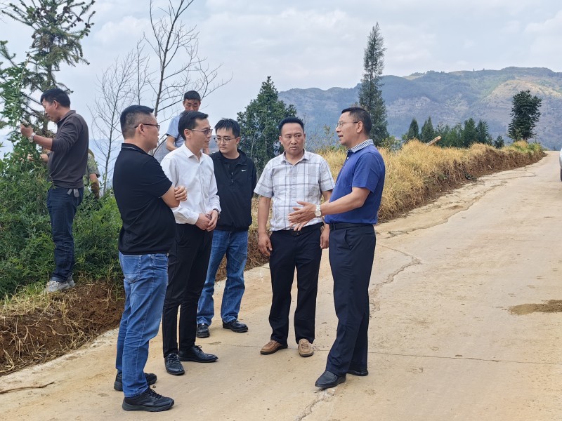 1714437279470375.jpg ce9228c23afc3cce9d7bdf12a0c4eae.jpg