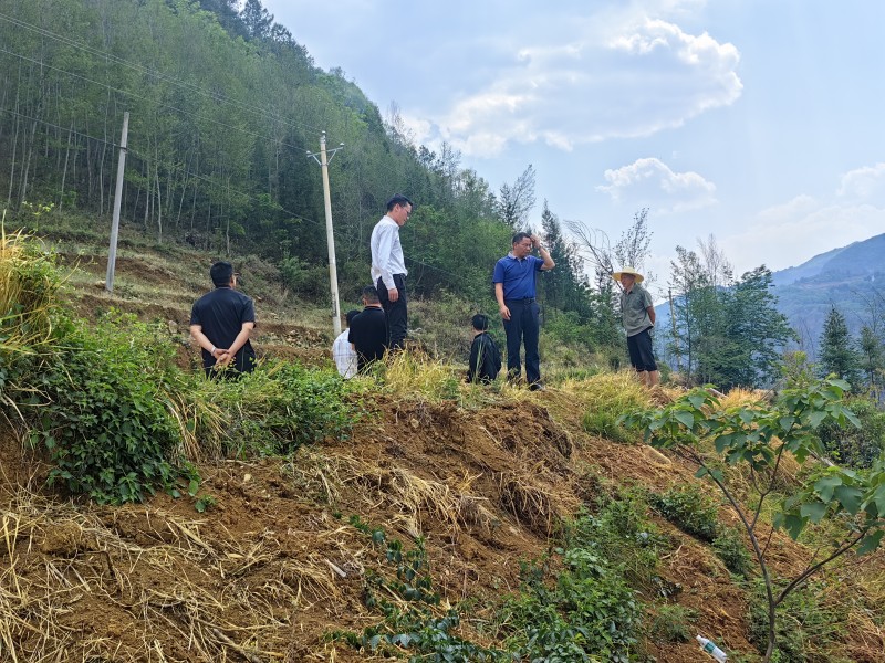 1714437304469234.jpg 979dec6cd5f741963a5db7901be3172.jpg