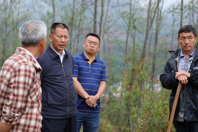 1715411613187392.jpg 1B8A8921.JPG