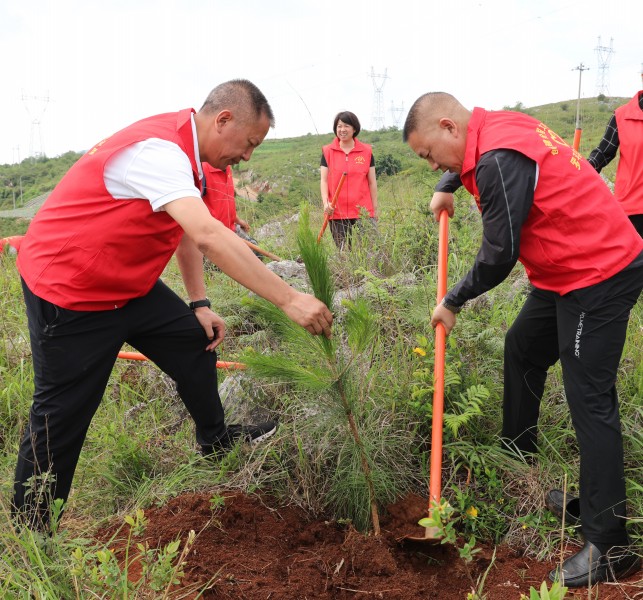 1718069259252381.jpg 4f4e023704653df49dba137f0122b38.jpg