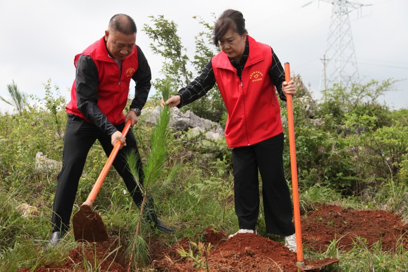 1718069276680593.jpg IMG_2308.JPG