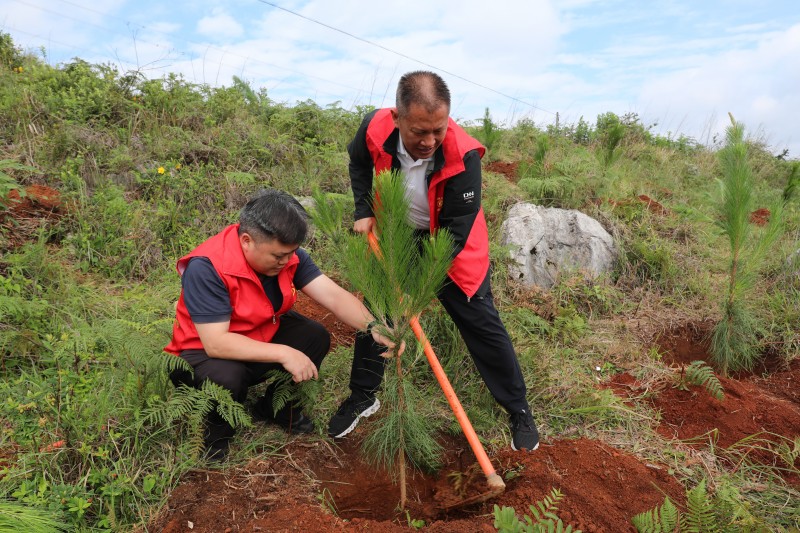 1718069292558691.jpg a93e7528306bda88865855ad5082865.jpg