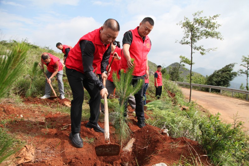 1718069307184615.jpg IMG_2198.JPG