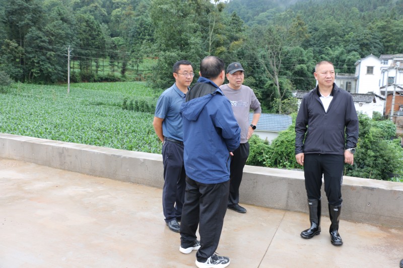 1719295566604208.jpg IMG_0196.JPG