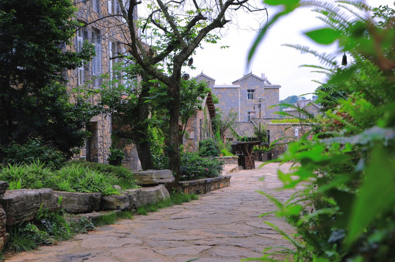 1719880285451709.jpg 微信图片_20240630200916.jpg