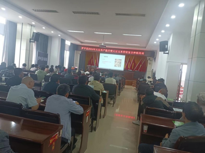 1720403407538206.jpg 54895603d4dfd2b5a83f7aff454c909.jpg