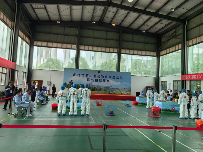 1721014533187035.png 图片1.png