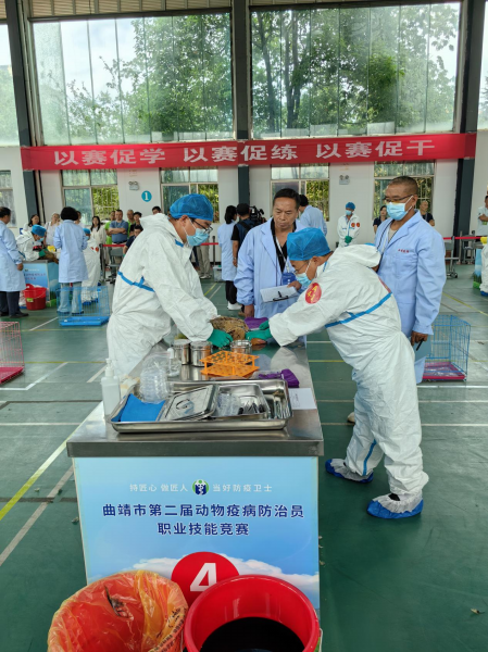 1721014557887152.png 图片3.png