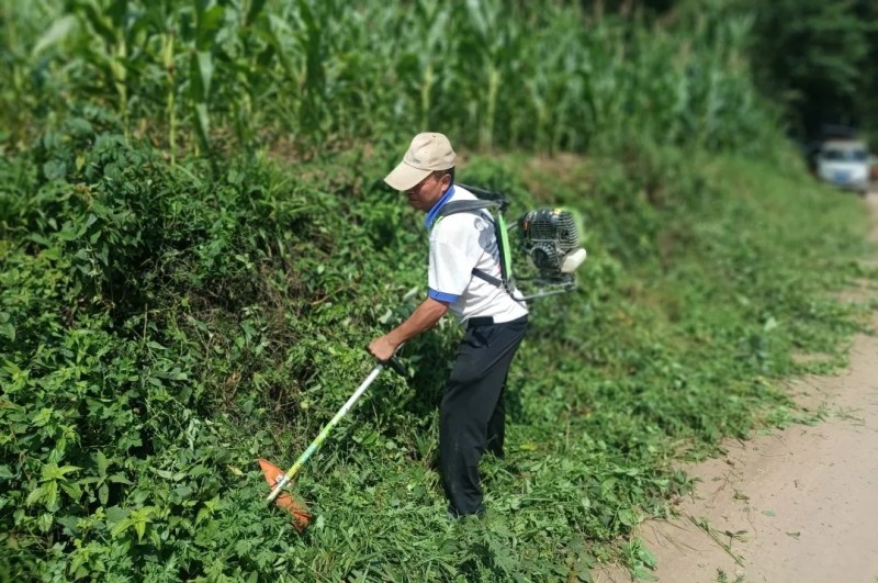 1721784238378568.jpg 4..jpg