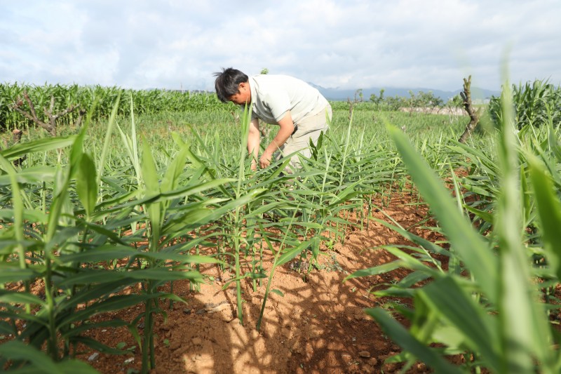 1722213301610575.jpg 188A9274.JPG