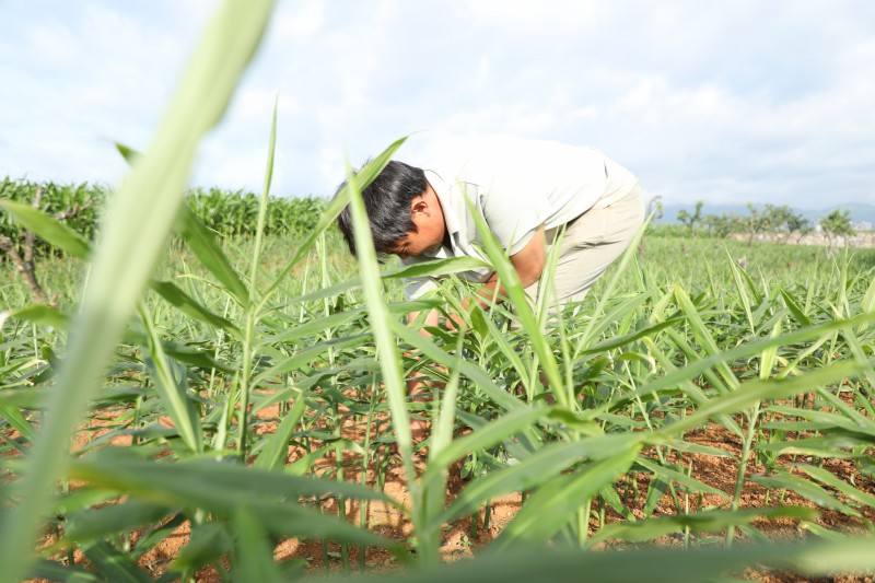 1722213314189751.jpg 188A9272.JPG