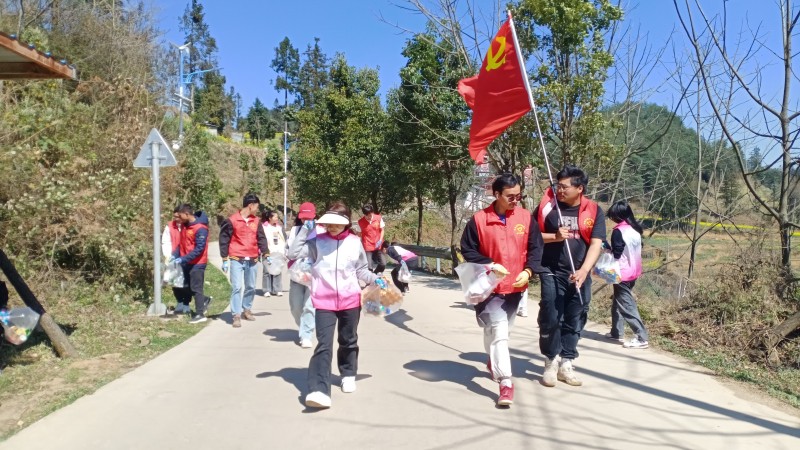 3.党员先锋队带头人居环境整治.jpg