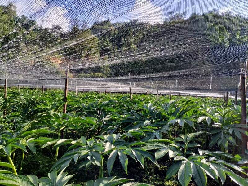 1723771934918579.jpg mmexport1723022323792.jpg