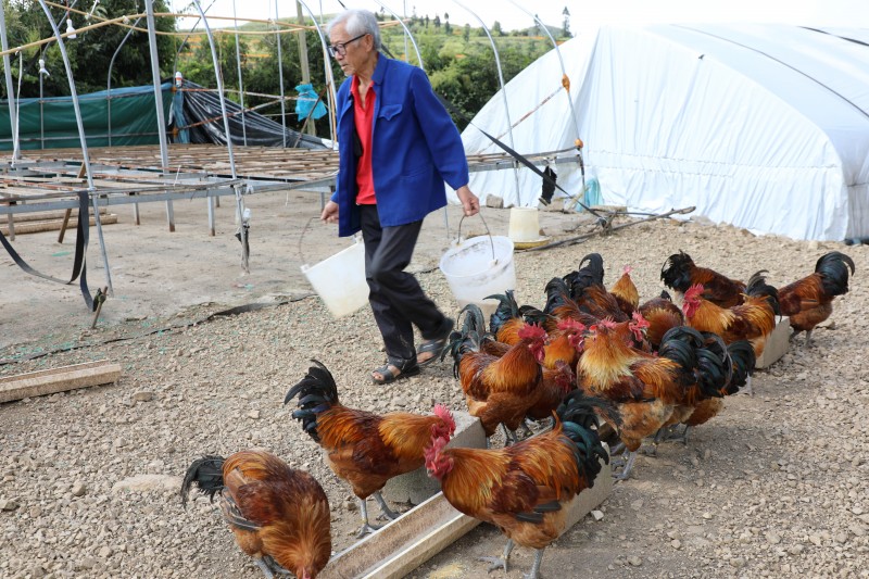 1724200571704306.jpg 1B8A1639.JPG