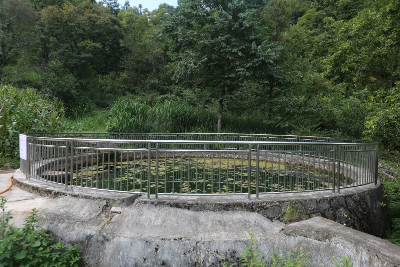 1724308579525928.jpg A48A9041.JPG