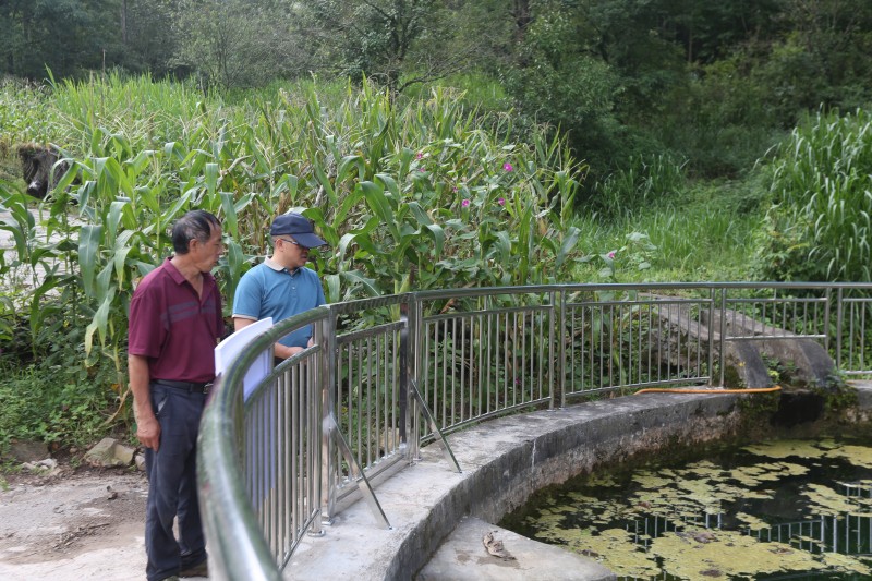 1724308604790151.jpg A48A9042.JPG