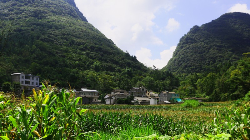 1724308616357749.jpg 3_看图王.jpg