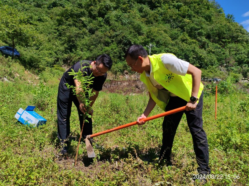 1724634760733433.jpg 3.jpg