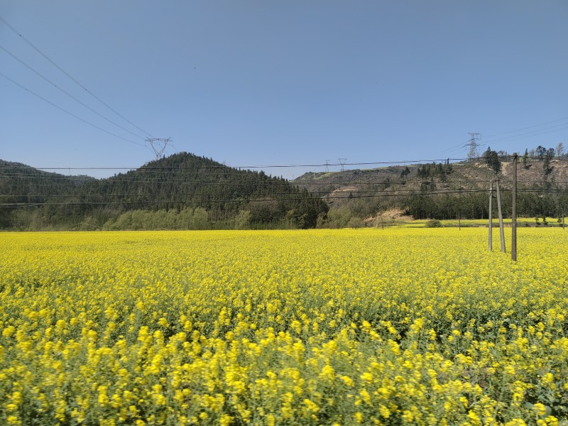 1724637865154710.jpg 2.jpg