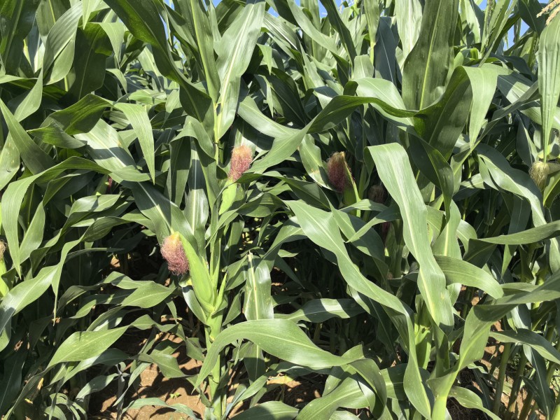 1724637881774825.jpg 3.jpg