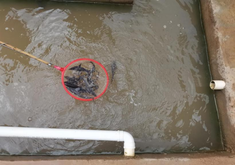 1724637900458674.png 6.png