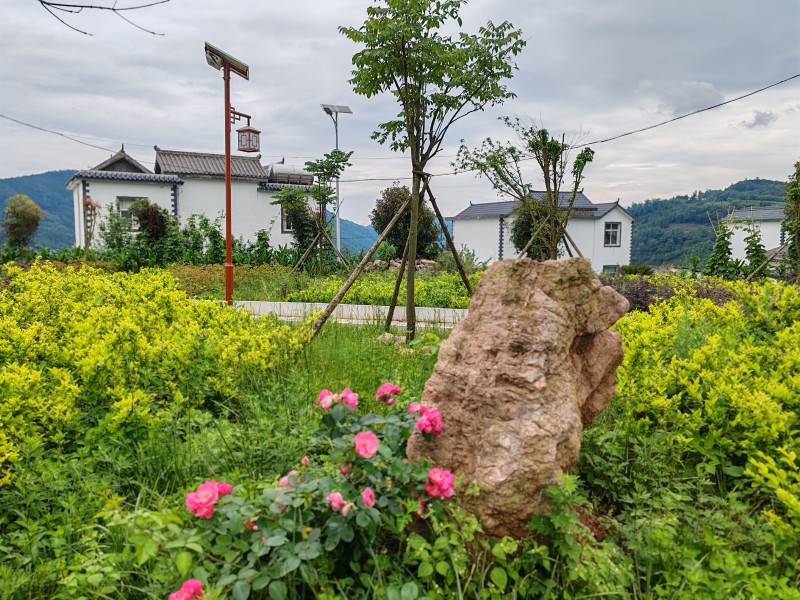 1724719111389452.jpeg 图1.jpeg