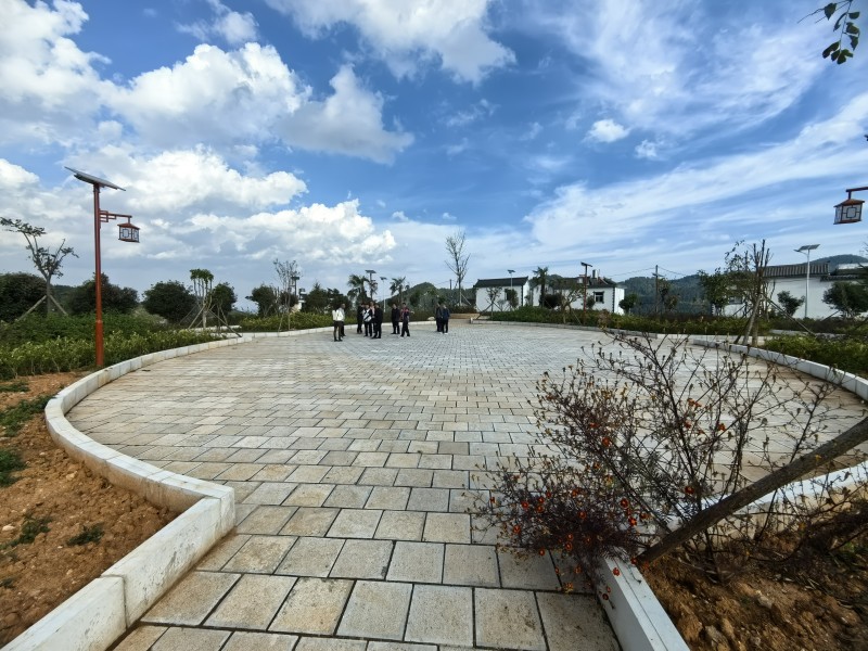 1724719138895077.jpeg 图3.jpeg