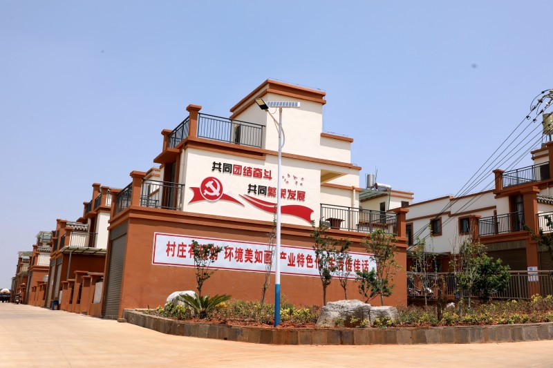 1724806375572183.jpg 1 (1).jpg