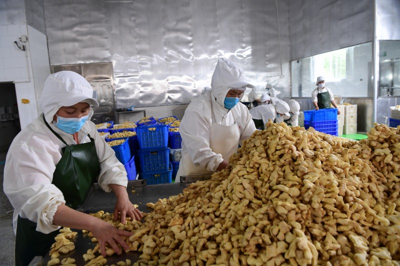 1724814718495366.jpg DSC_0883.JPG