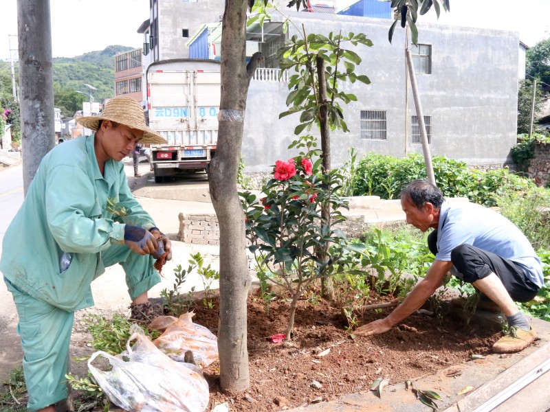 1725326022561004.jpg IMG_4386.jpg