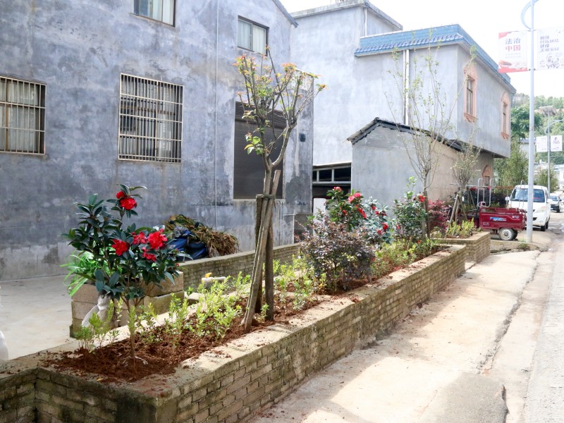 1725326041430736.jpg IMG_4478.jpg