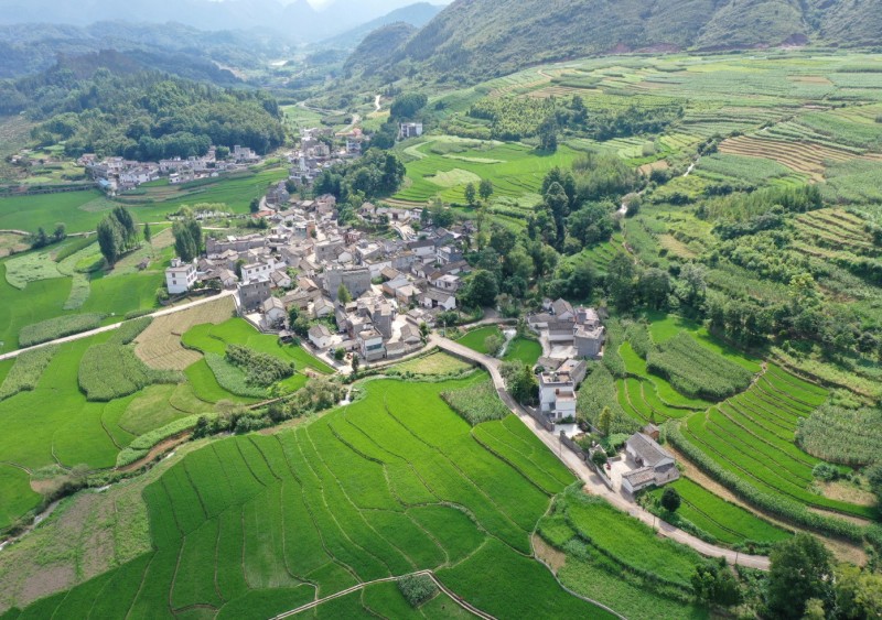 1725499290147647.jpg _6.JPG