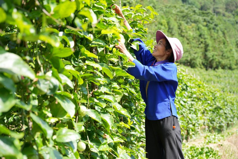 1725504073575812.jpg DSC00384.JPG