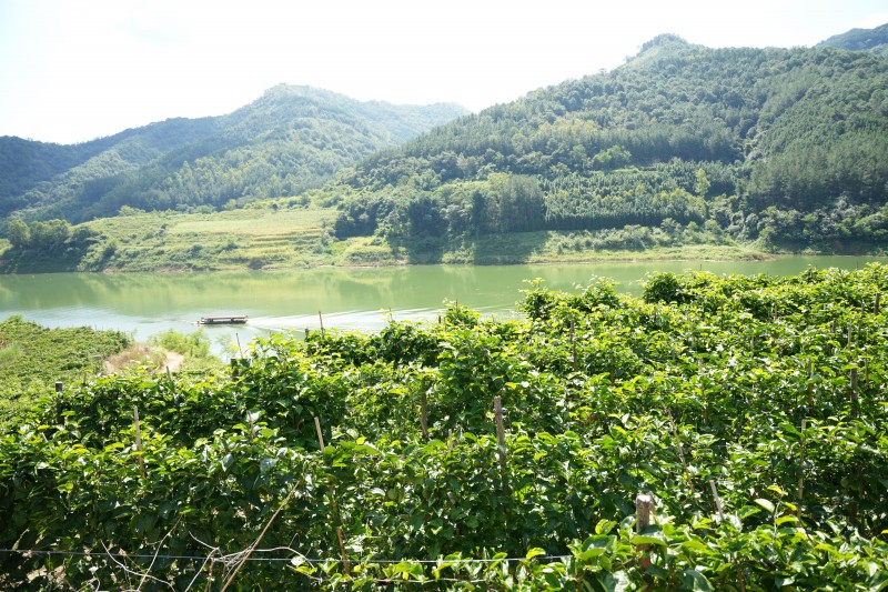 1725504125498874.jpg DSC00418.JPG