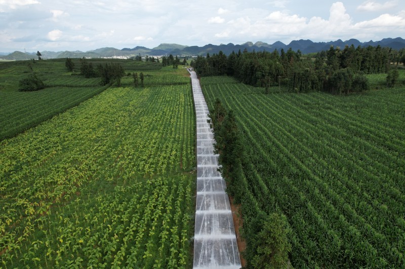 1725928431822199.jpg (9)2e99f1514cd3041a0d64853c1c43ee6.jpg