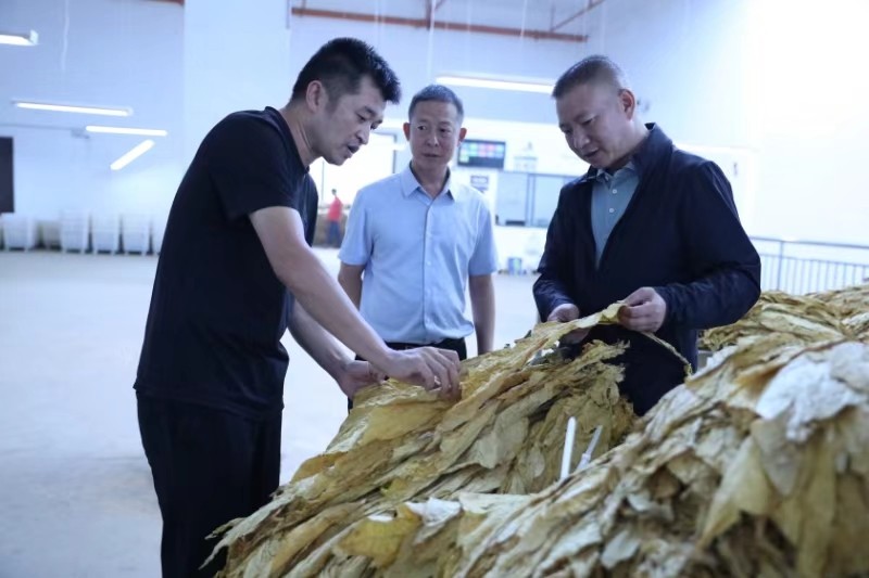 1726643264805701.jpg 微信图片_20240918002741.jpg