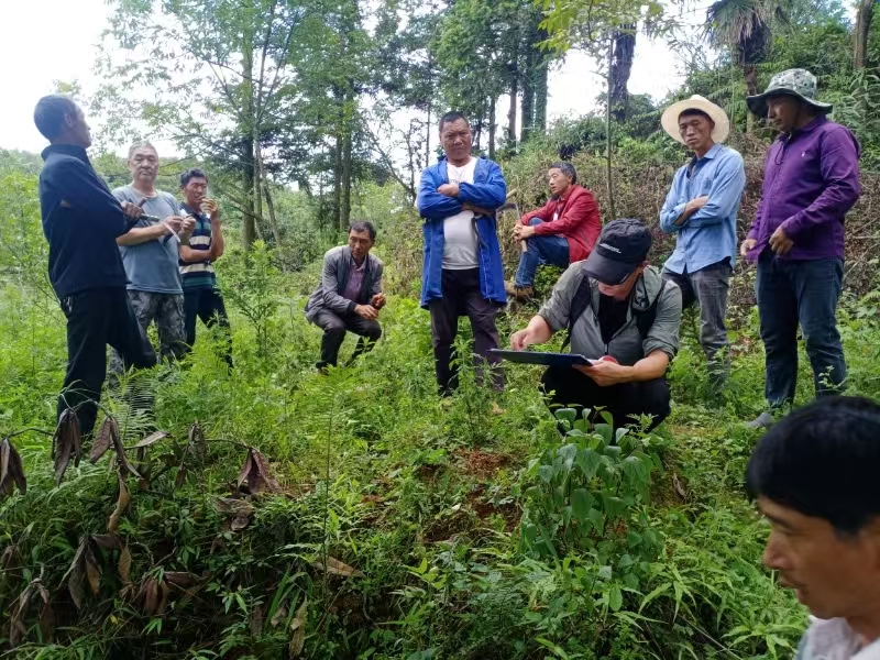 1726800877678504.jpg 3.jpg