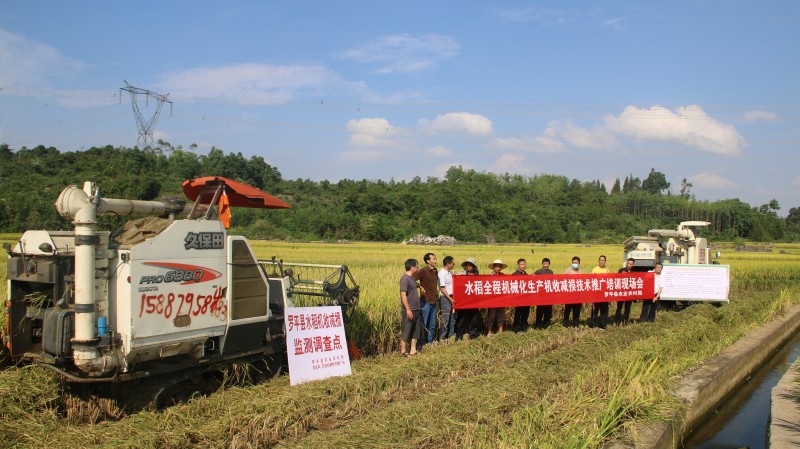 1727076819854128.jpg IMG_3021.JPG