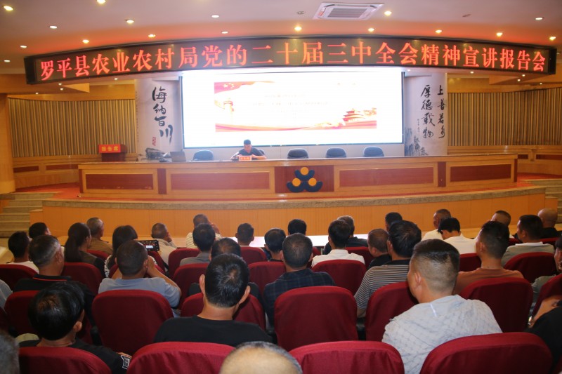 1727163056894461.jpg IMG_3047.JPG