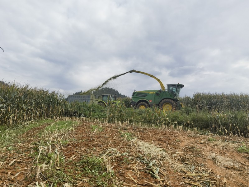 1727656981214803.jpg 微信图片_20240929091102.jpg